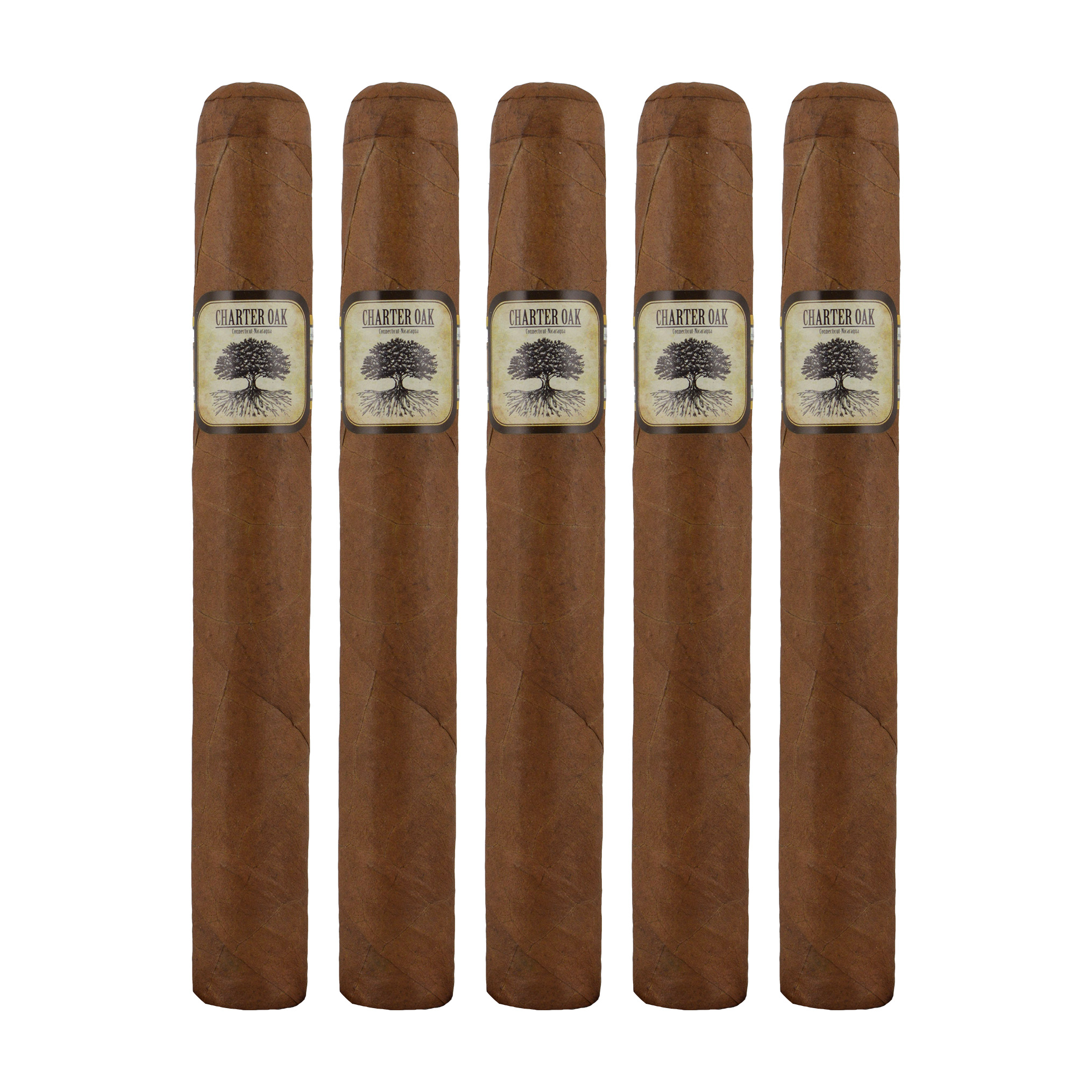 Charter Oak Habano Toro Cigar - 5 Pack